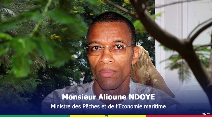 Diagnostic des travaux du Port Minéralier-Vraquier de Sendou : Le ministre Alioune Ndoye se réjouit des avancées, mais des défis demeurent